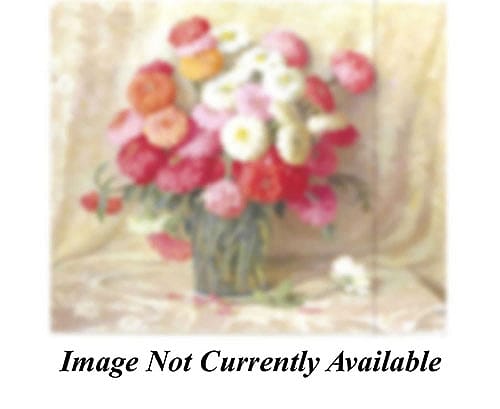 Zinnias